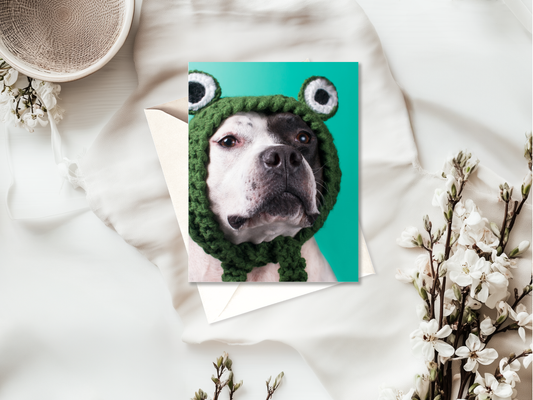 Funny Animal Card | Birthday | Blank | High Quality | For Humans & Pets