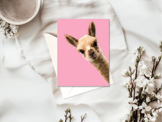 Funny Animal Card | Birthday | Blank | High Quality | For Humans & Pets
