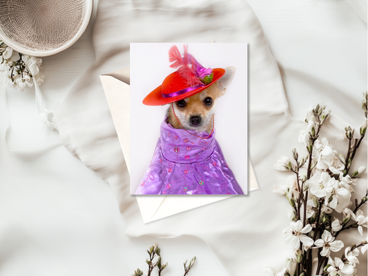 Funny Animal Card | Birthday | Blank | High Quality | For Humans & Pets