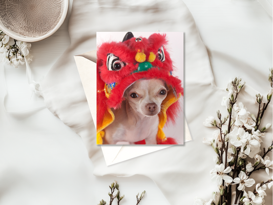 Funny Animal Card | Birthday | Blank | High Quality | For Humans & Pets