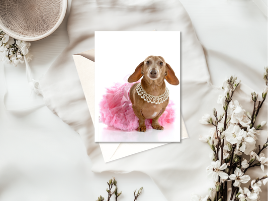Funny Animal Card | Birthday | Blank | High Quality | For Humans & Pets