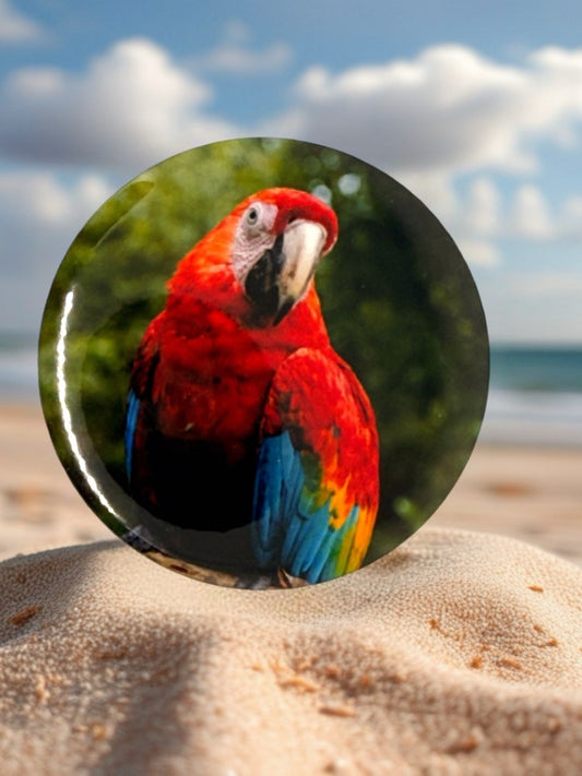 Parrot Fridge Magnet | Colorful Tropical Bird Kitchen Decor