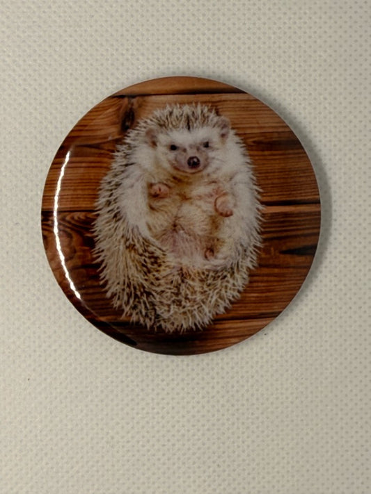 Cute Hedgehog Fridge Magnet | Animal Lover Gift