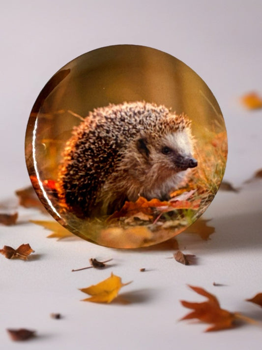 Hedgehog Fridge Magnet – Autumn Nature Decor