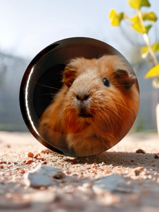 Guinea Pig Fridge Magnet | Cute Animal Kitchen Décor