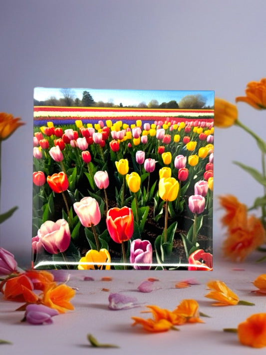 Tulips Field Fridge Magnet | Colourful Food-Inspired Décor
