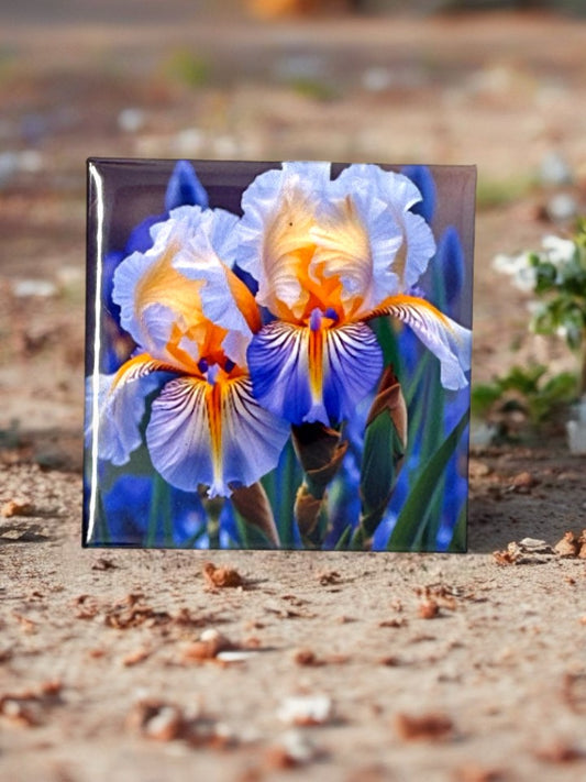 Iris Flower Fridge Magnet | Floral Kitchen Décor
