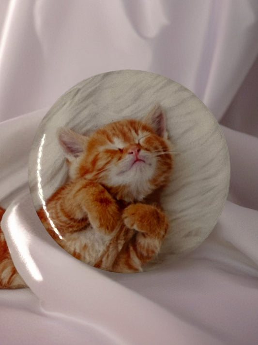 Kitten Asleep Fridge Magnet | Cute Cat Lover Gift
