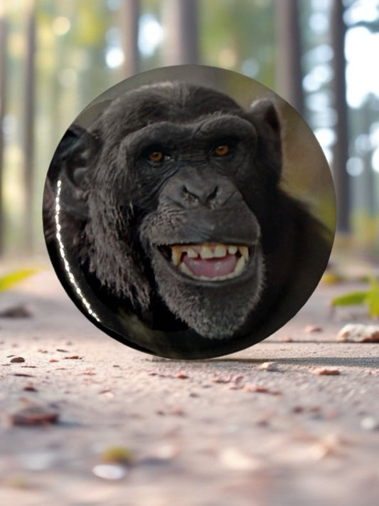 Chimpanzee Fridge Magnet | Fun Animal Kitchen Décor