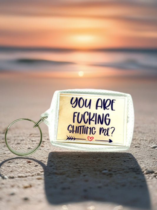 Are You F*cking Sh*tting Me? | Funny/Rude Acrylic Keyring | Novelty