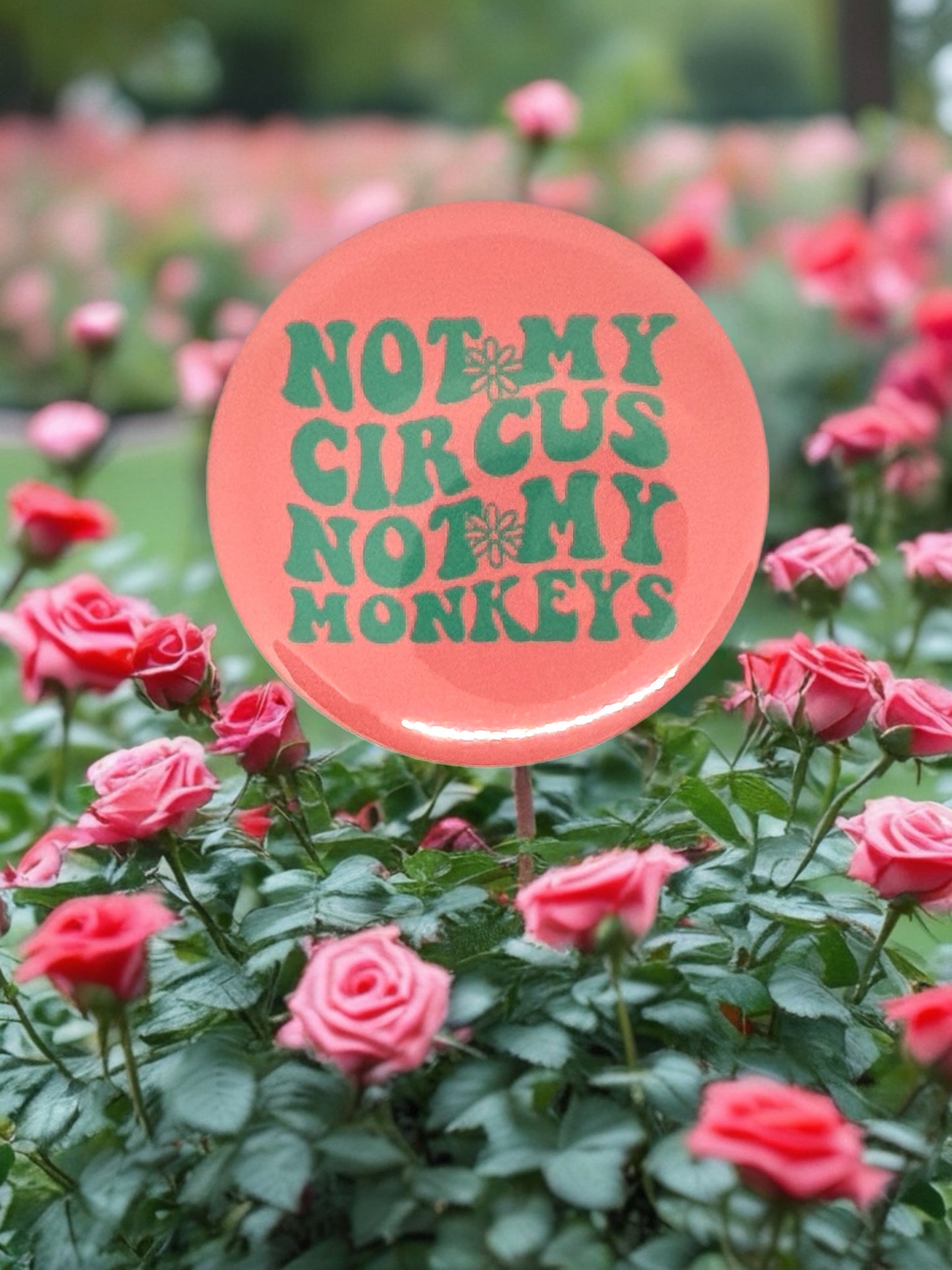 Not My Circus Not My Monkeys Pin Badge | Funny Retro Quote Gift